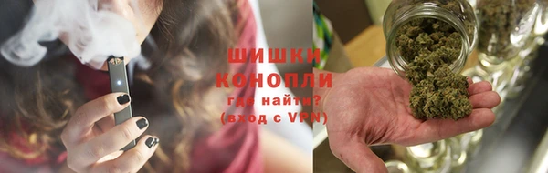 крисы Пестово