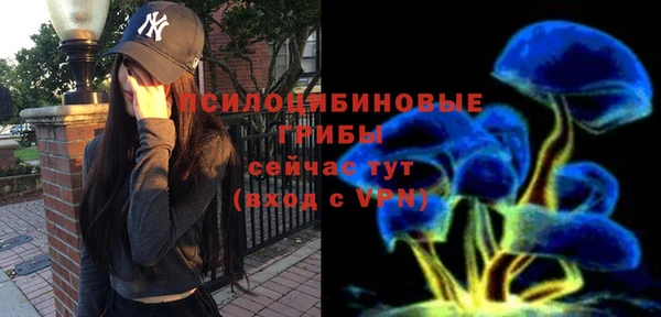 ешки Переславль-Залесский
