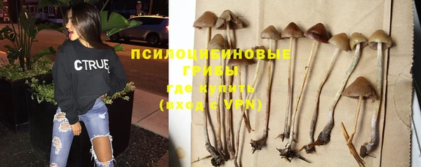 крисы Пестово
