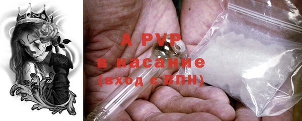 крисы Пестово