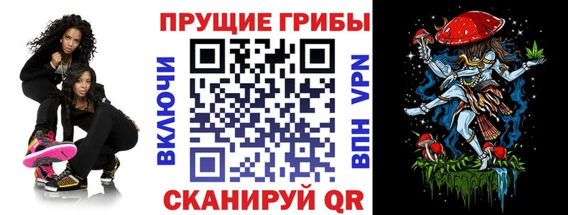 Купить закладки  Изобильный  Галлюциногенные грибы мицелий 